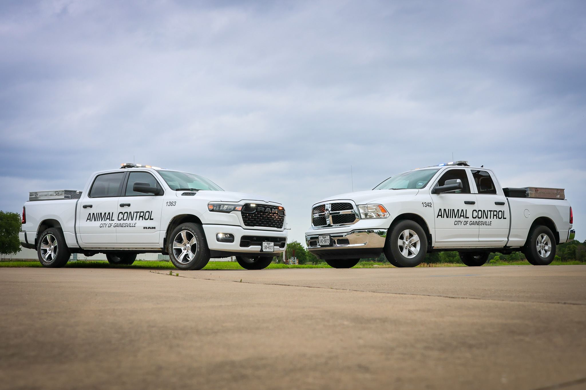 Animal Control Vehicles
